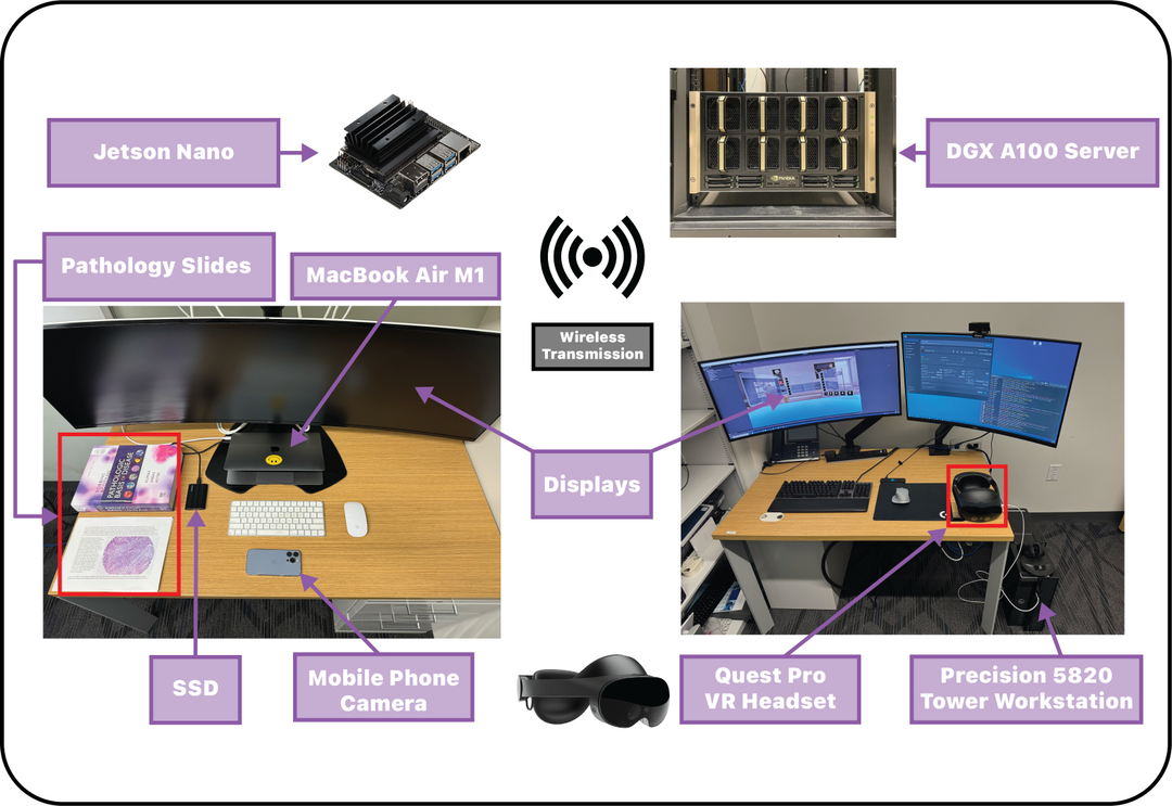 Multiplexed Medical Image Viewer with Contextual Similar-Patient Search