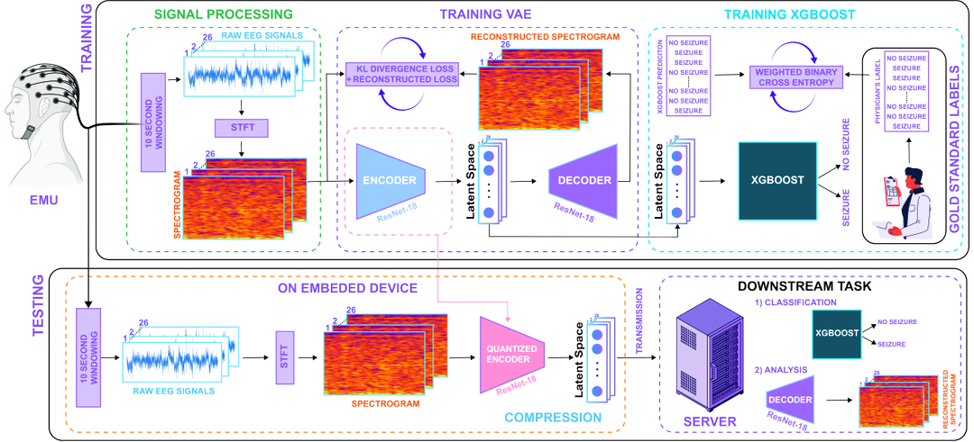 Diagnostic Integrity Meets Efficiency: Architecture for Physiological Signal Compression